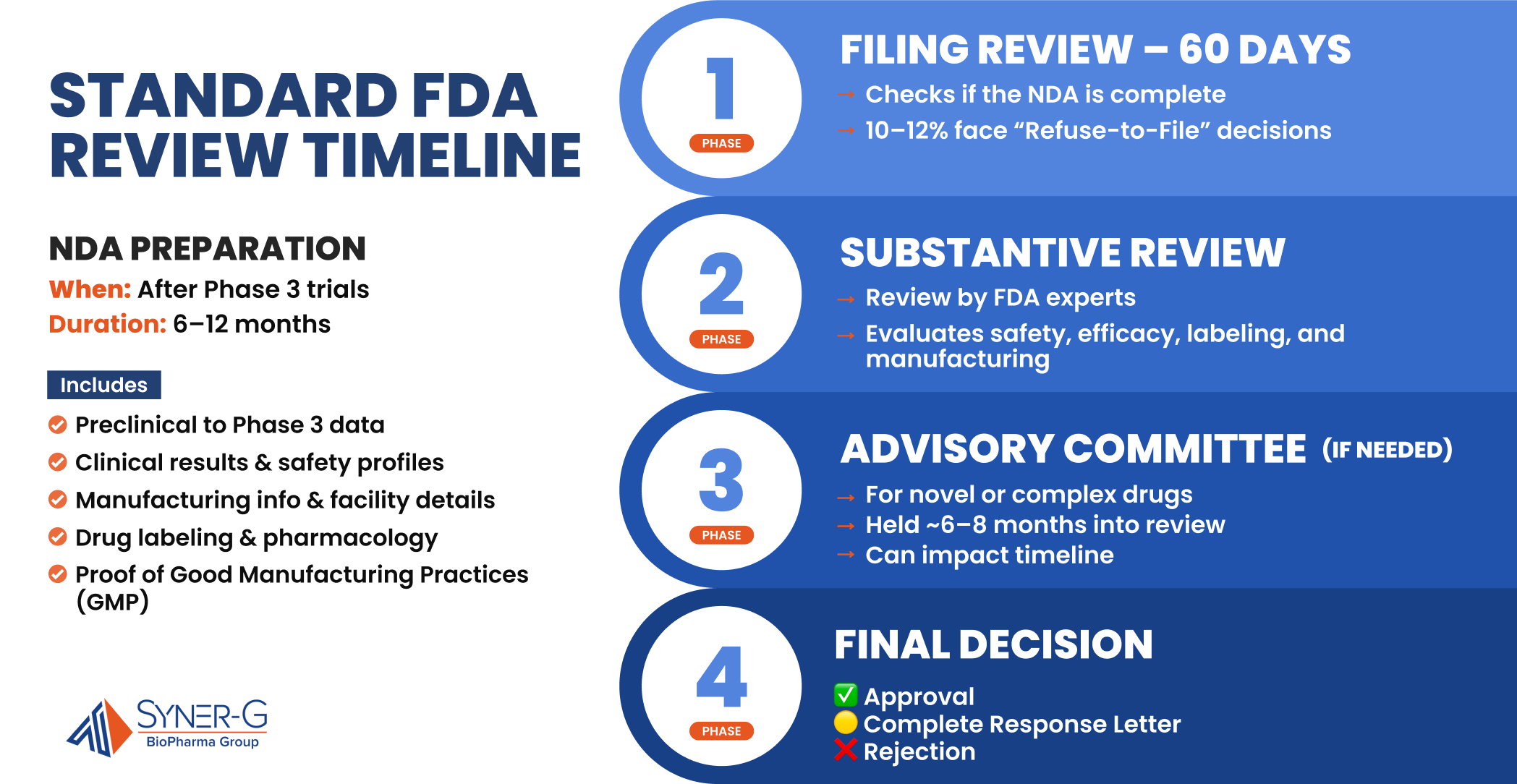 Infographic illustrating the standard FDA review timeline for new drug applications (NDAs), including preparation steps, filing review, substantive review, advisory committee meetings, and final decision, with a typical 10-month review period under PDUFA.
